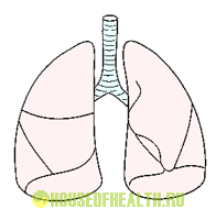 причина бронхиальной астмы
