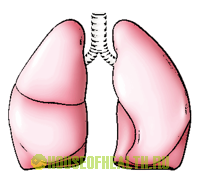 Составляющие Комплексной системной терапии астмы