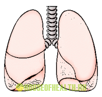 Комплексная системная терапия бронхиальной астмы